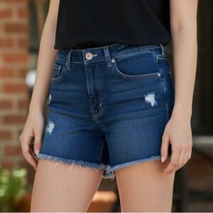 Levi's Blue Denim Relaxed Fit 550 Shorts
